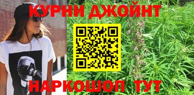 PSILOCYBIN Будённовск
